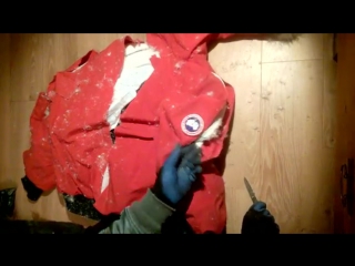 cg down jacket last ripping (1)
